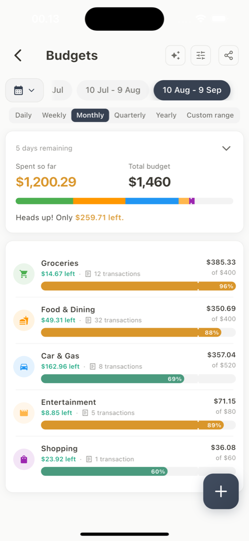 Budgets with spend-versus-limit bars and a pace marker