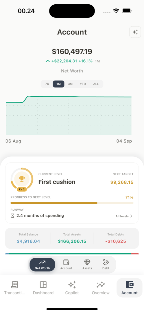 The net worth screen with the wealth level ring, runway in months, and totals for balance, assets and debts